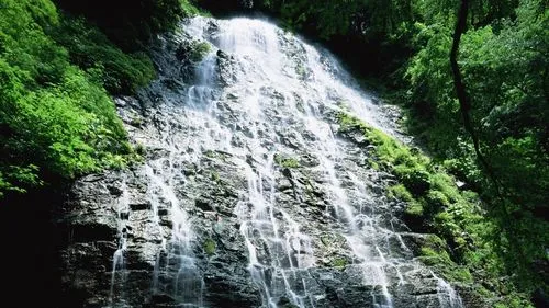 高标准智能系统高端